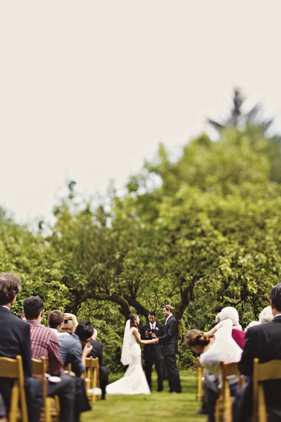 Ceremony in front of a tree