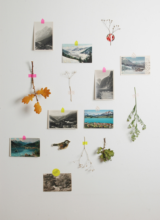 Tape up postcards and little sprigs gathered from nature