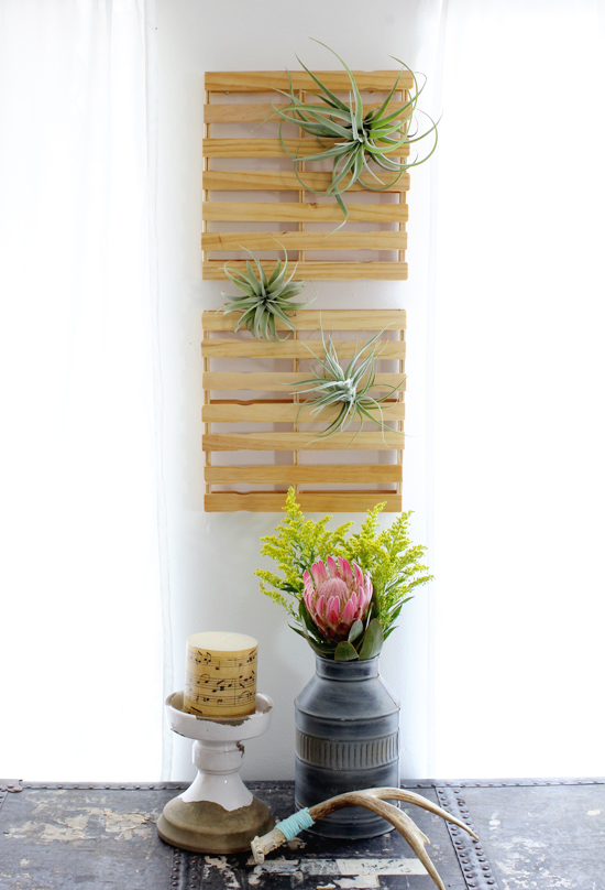 Airplants in DIY mini pallets