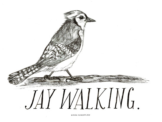 Jay Walking
