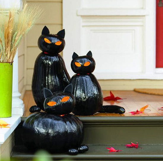 Black cat pumpkins