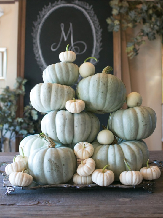 Grey heirloom pumpkins