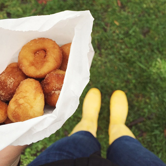 Apple cider donuts