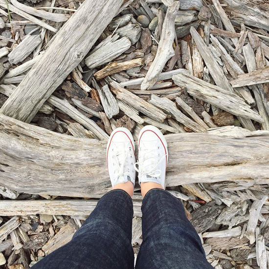 Driftwood