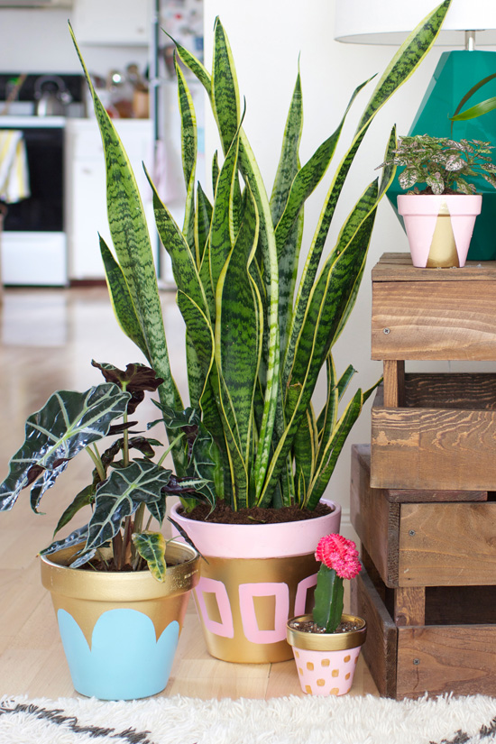 DIY Painted Pots of Gold