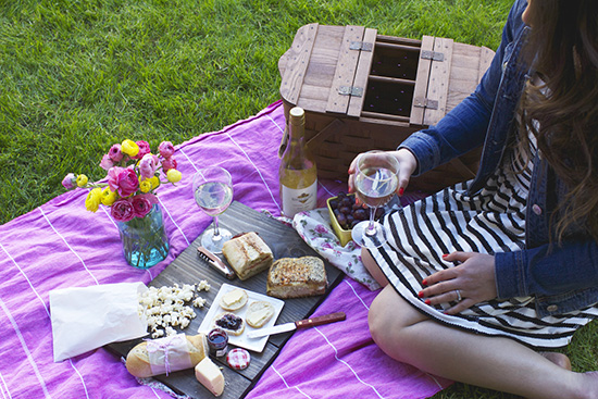 Picnic essentials