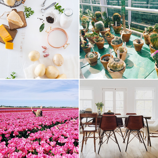 Instagram accounts to follow // @designlovefest