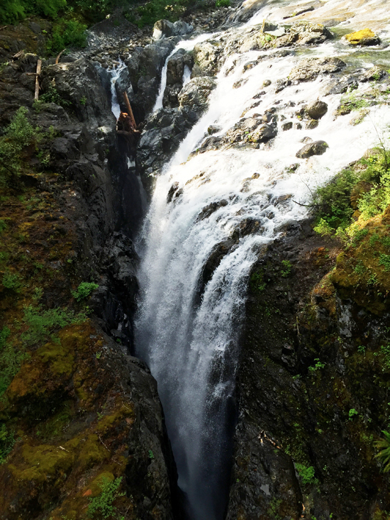 Englishman River Falls | Vancouver Island, BC