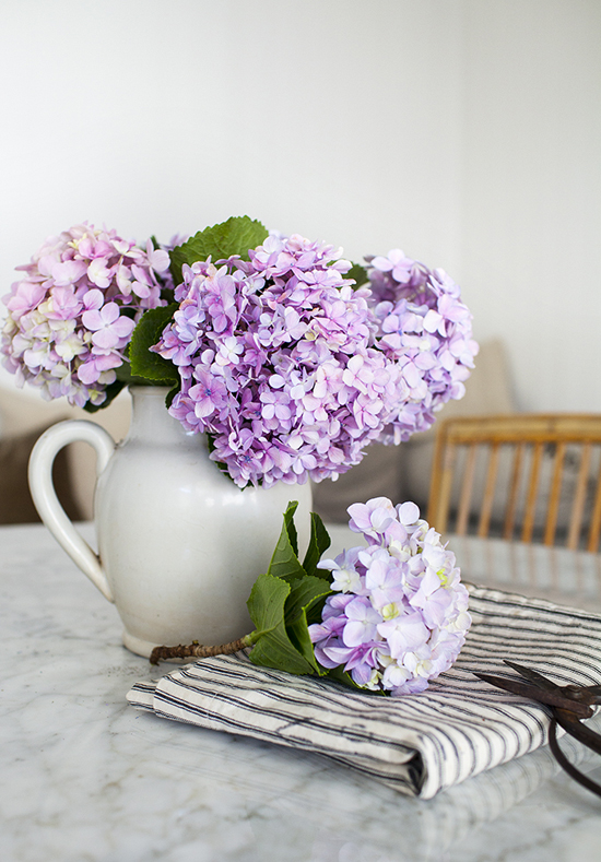 purple, ticking stripe, fresh flowers, hydrangeas