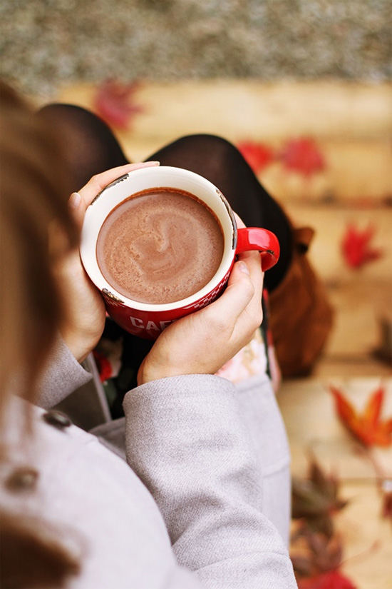 Gingerbread hot cocoa