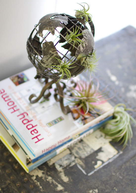 Air plants take over the world!