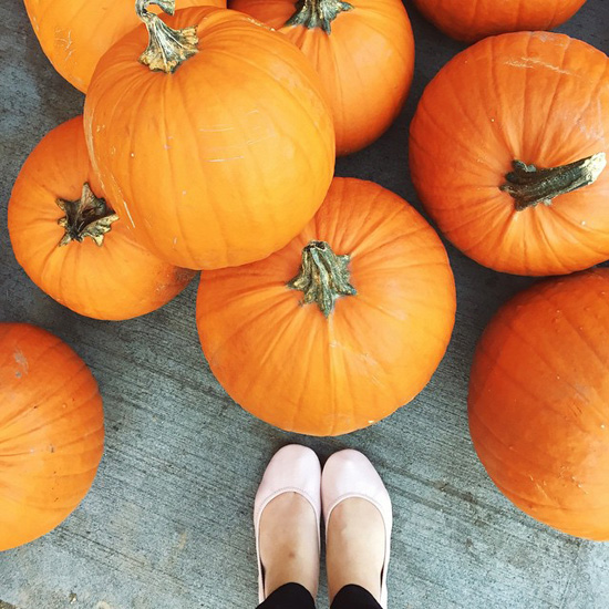 Pumpkins and pink ballet flats