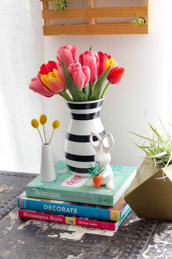 Tulips for spring