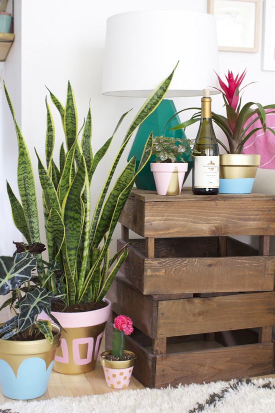 DIY Painted Pots of Gold