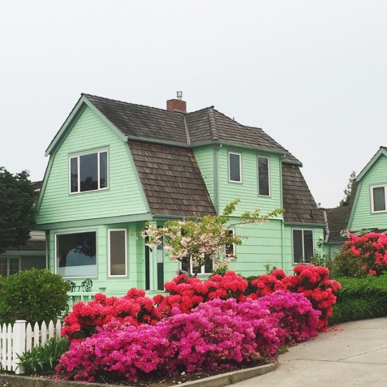 Mint green house