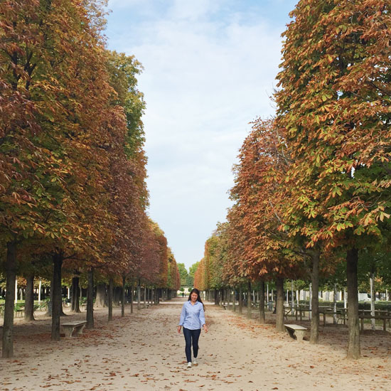 Fall colors at the Jardin des Tuilieries