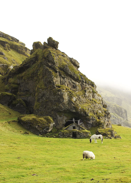 Viking house