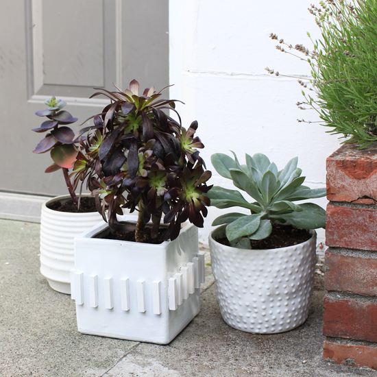 Textured planter pots