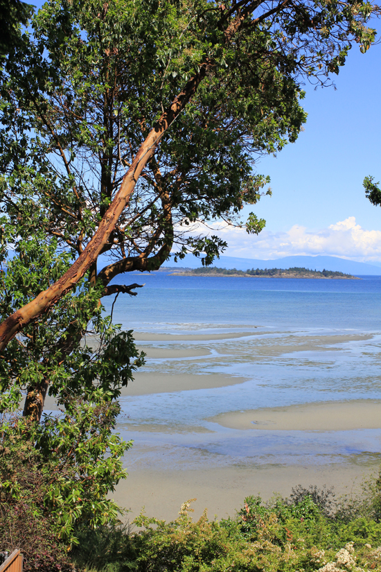 Vancouver Island babymoon