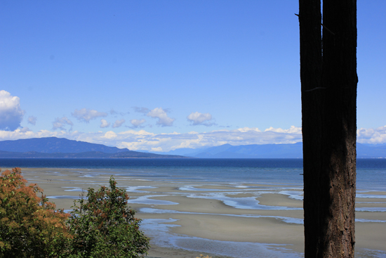 Trip recap: Vancouver Island babymoon