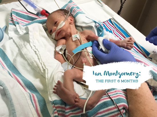 Ian Montgomery: the first 6 months