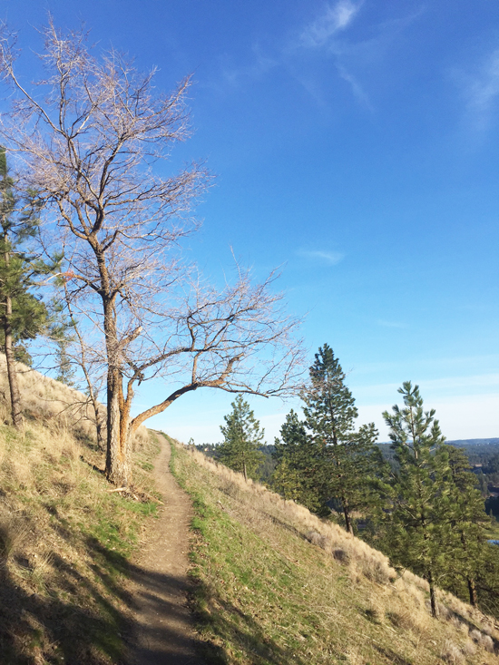 Spring in Spokane