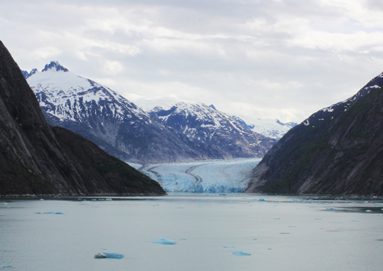 Endicott Arm - Alaska glacier