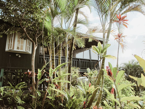 Best vacation rentals in Hawaii: this minimal jungle cottage in Kauai