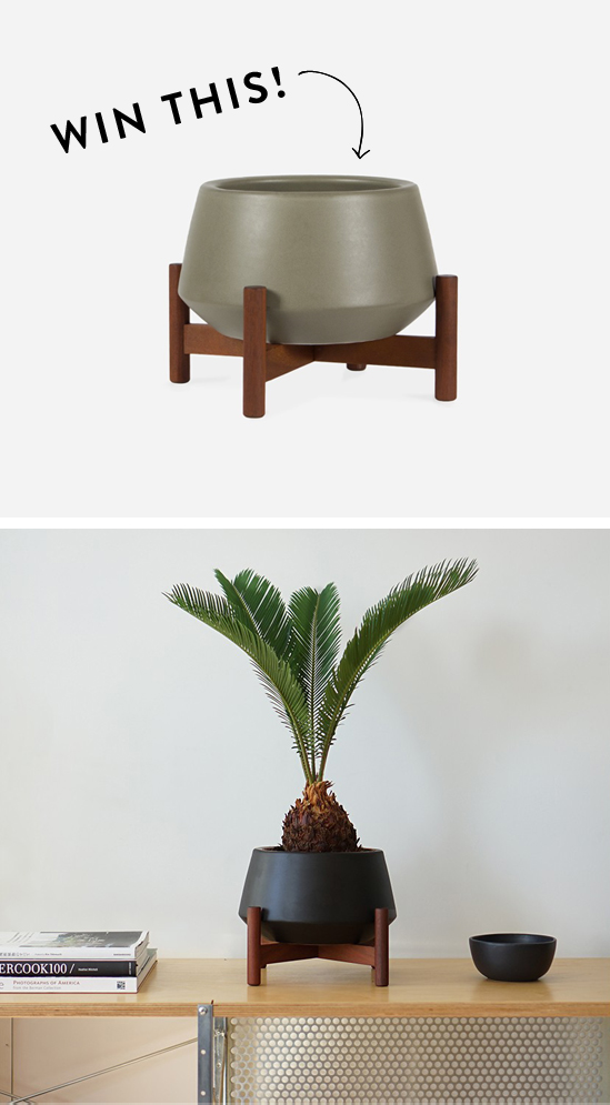 Modernica planter giveaway