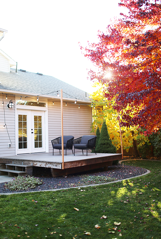 Our Backyard In The Fall