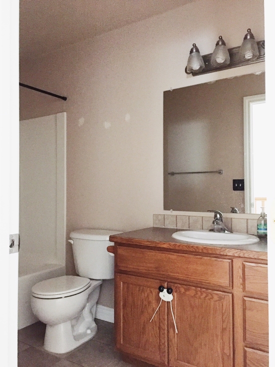 standard builder bathroom remodel - before pictures
