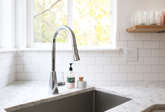 Signature Hardware faucet & sink